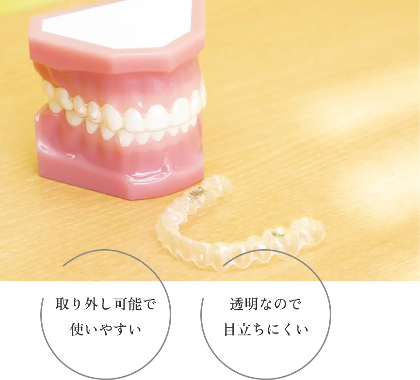 取り外し可能で使いやすい｜透明なので目立ちにくい